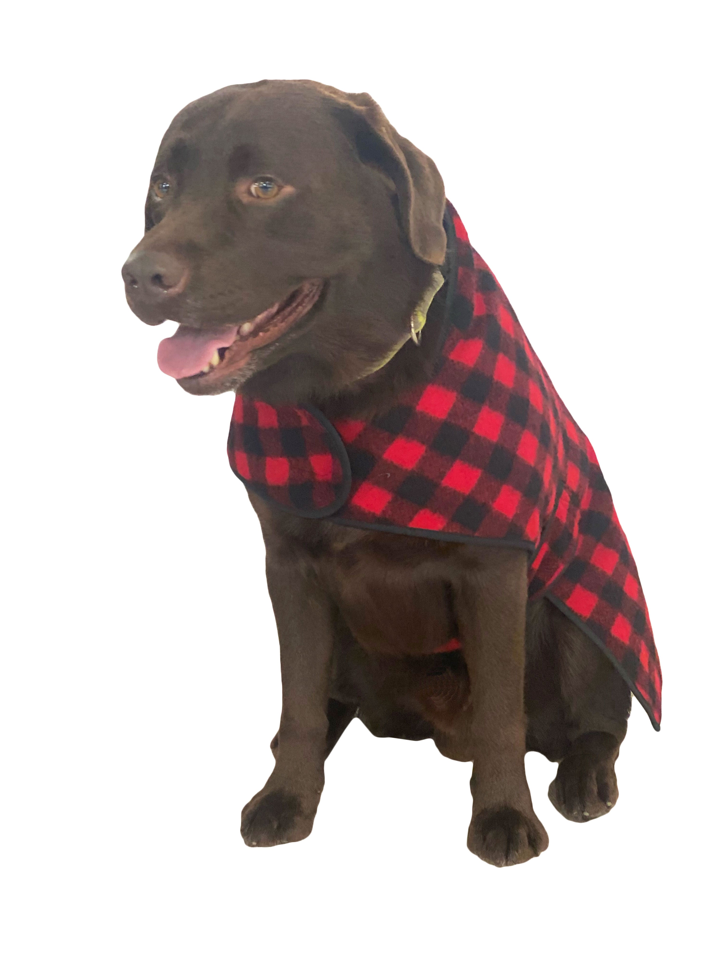 Buffalo check sales dog jacket